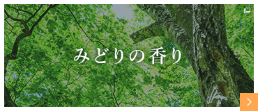 日本予防医薬株式会社 みどりの香り