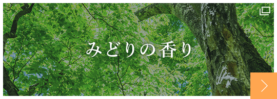 日本予防医薬株式会社 みどりの香り