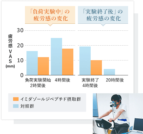 日本予防医薬株式会社 「負荷実験中」の疲労感の変化、「実験終了後」の疲労感の変化、グラフ画像
